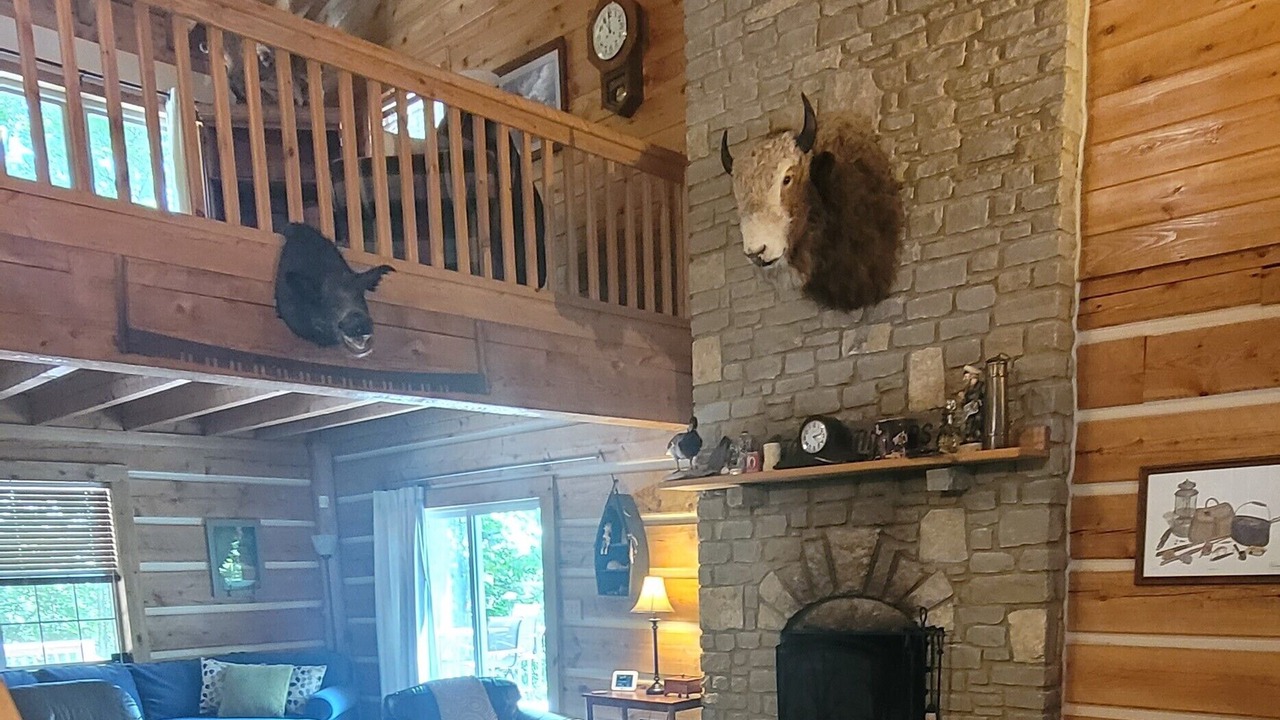 Photo of Livingroom in Nancy