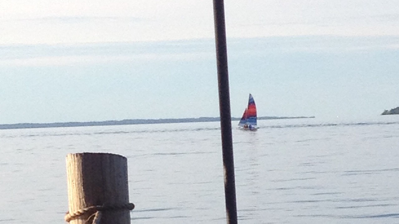 Photo of Others in Sheldrake