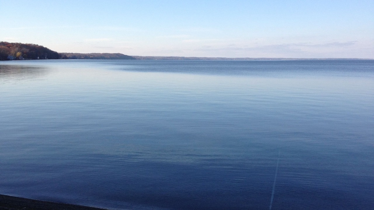 Photo of Outdoor in Sheldrake