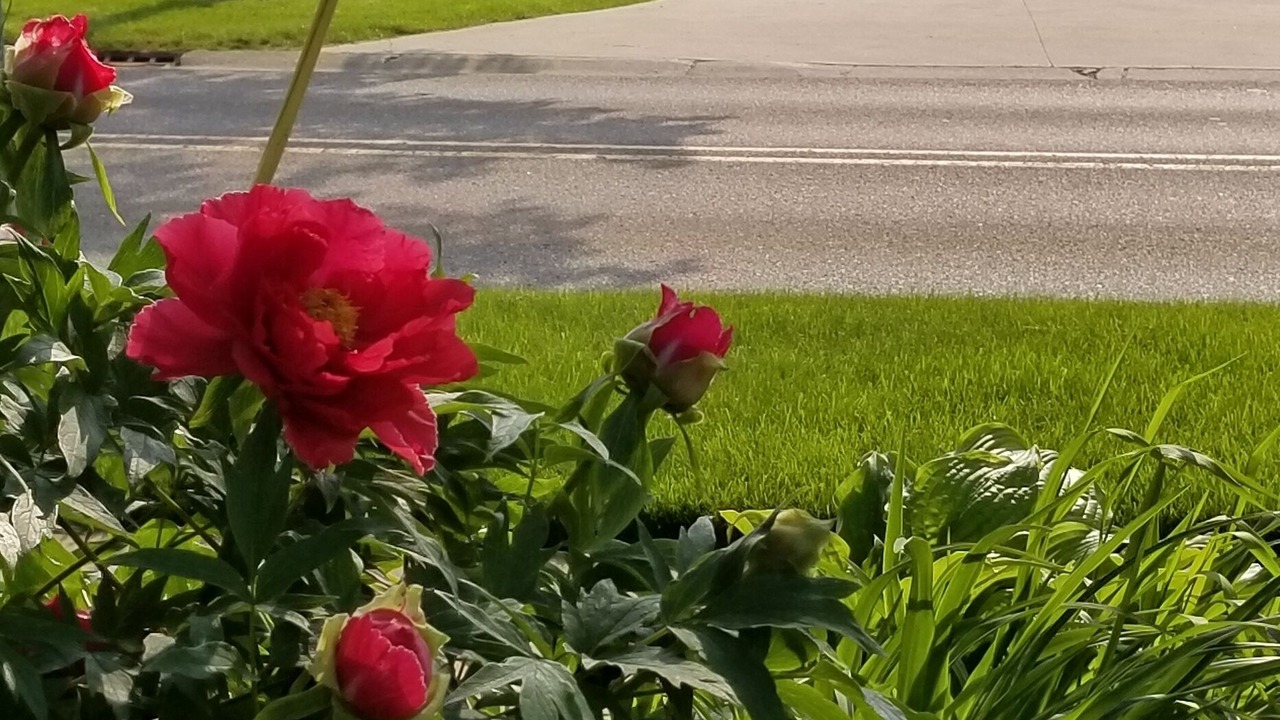 Photo of Outdoor in Saugatuck