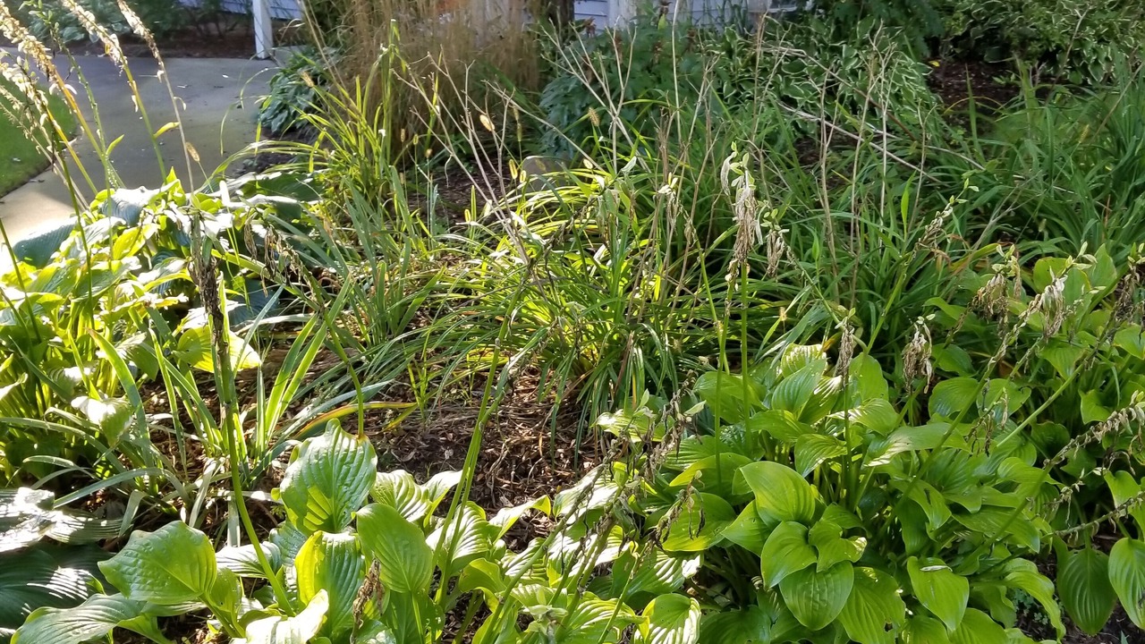 Photo of Outdoor in Saugatuck