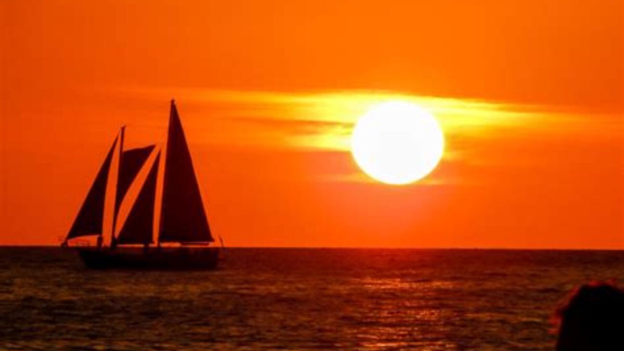 Photo of Others in Clearwater Beach