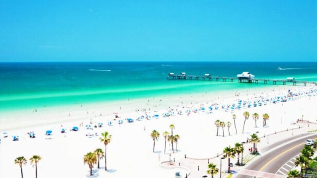 Photo of Others in Clearwater Beach