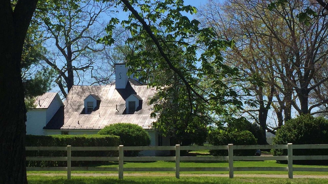 Photo of Outdoor in Leesburg