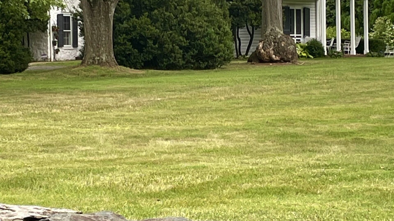 Photo of Outdoor in Leesburg