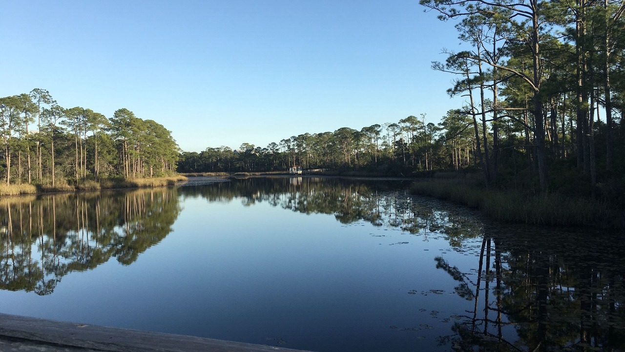 Photo of Others in Destin