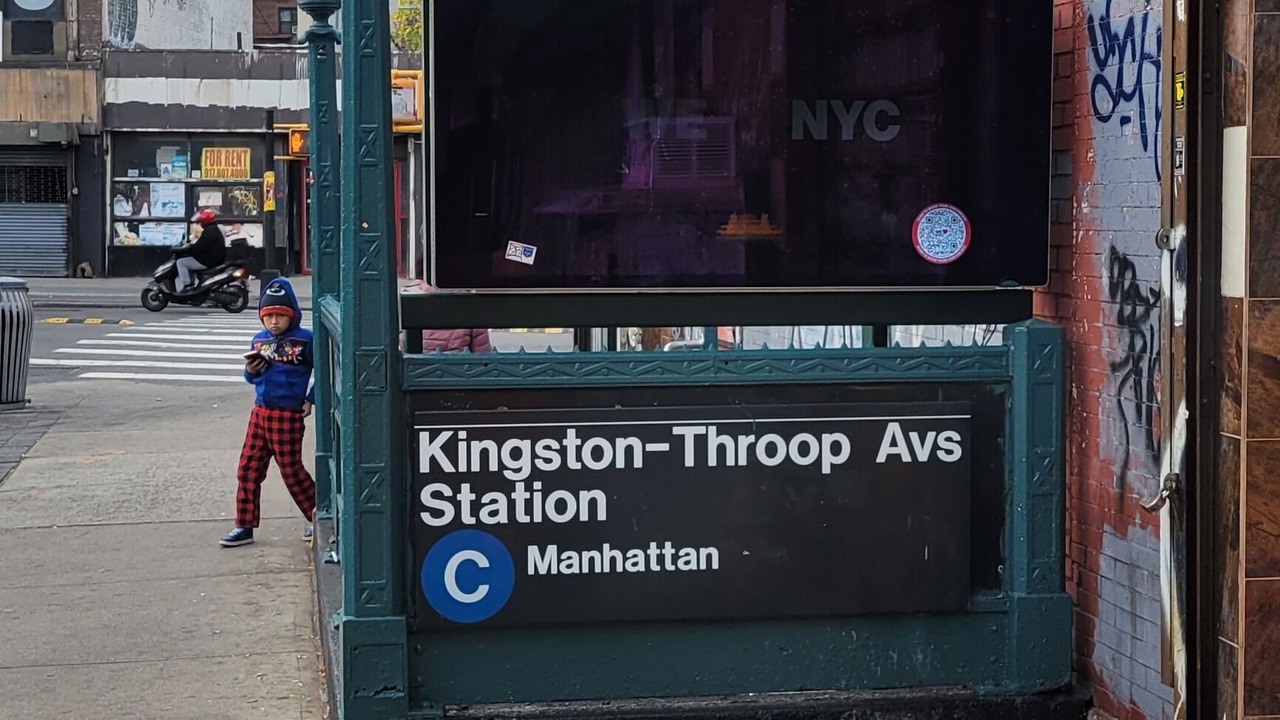 Photo of Others in Bedford-Stuyvesant