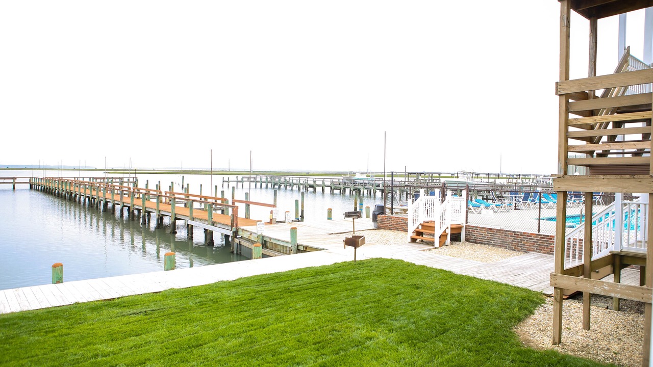Photo of Outdoor in Chincoteague