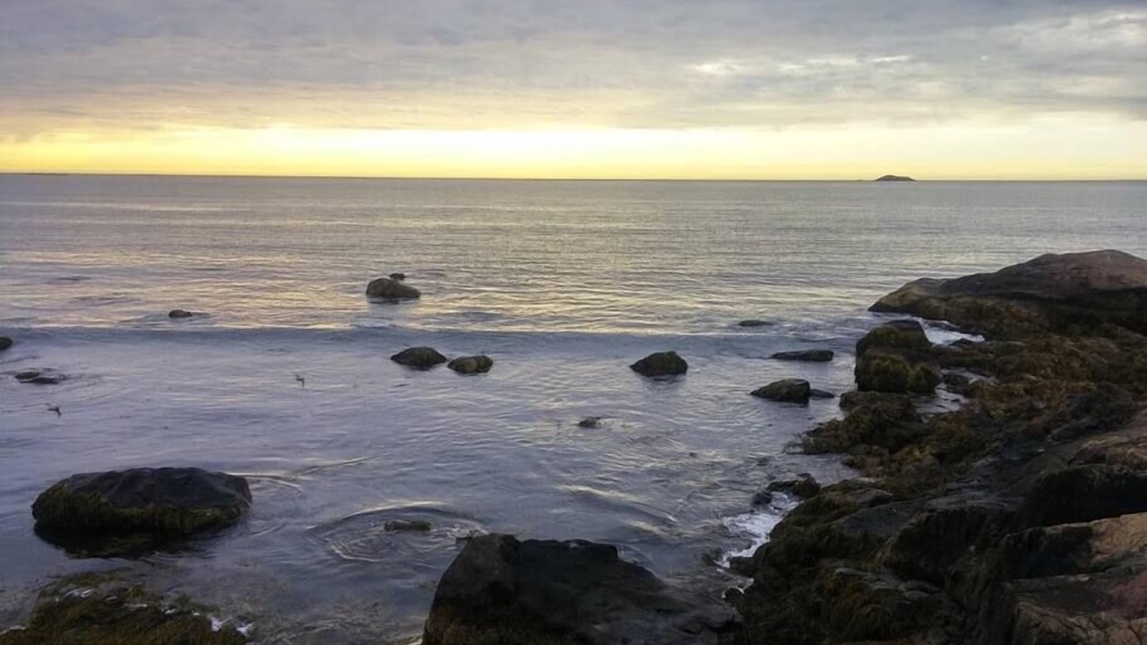 Photo of Others in Swampscott