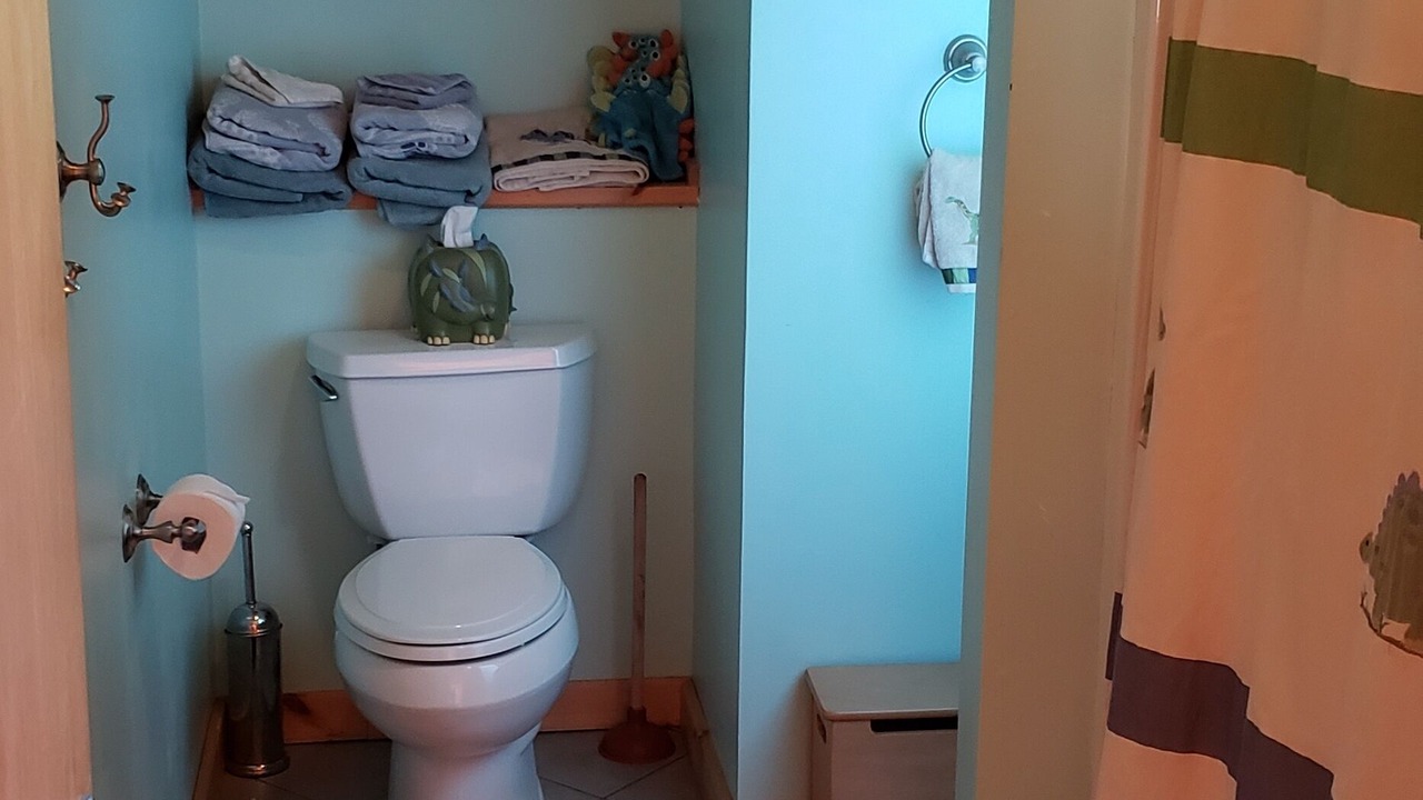 Photo of Bathroom in Bolton Landing