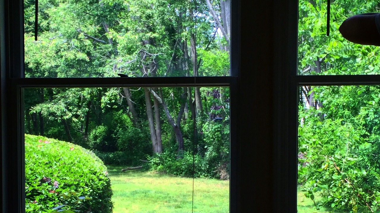 Photo of Bedroom in Aquebogue