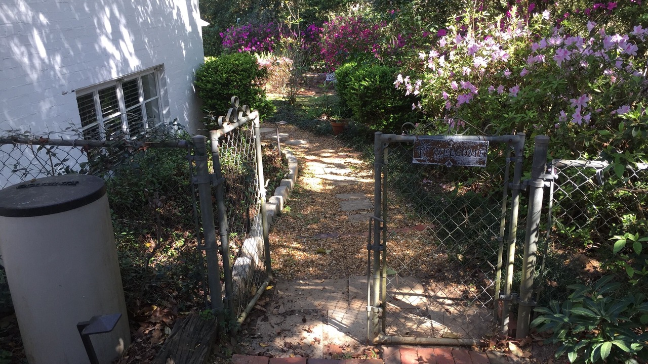 Photo of Outdoor in Tallahassee