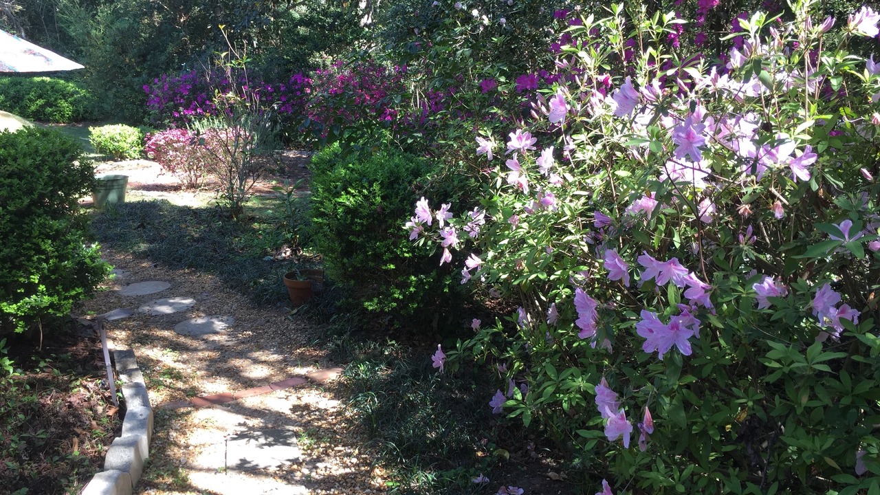 Photo of Outdoor in Tallahassee