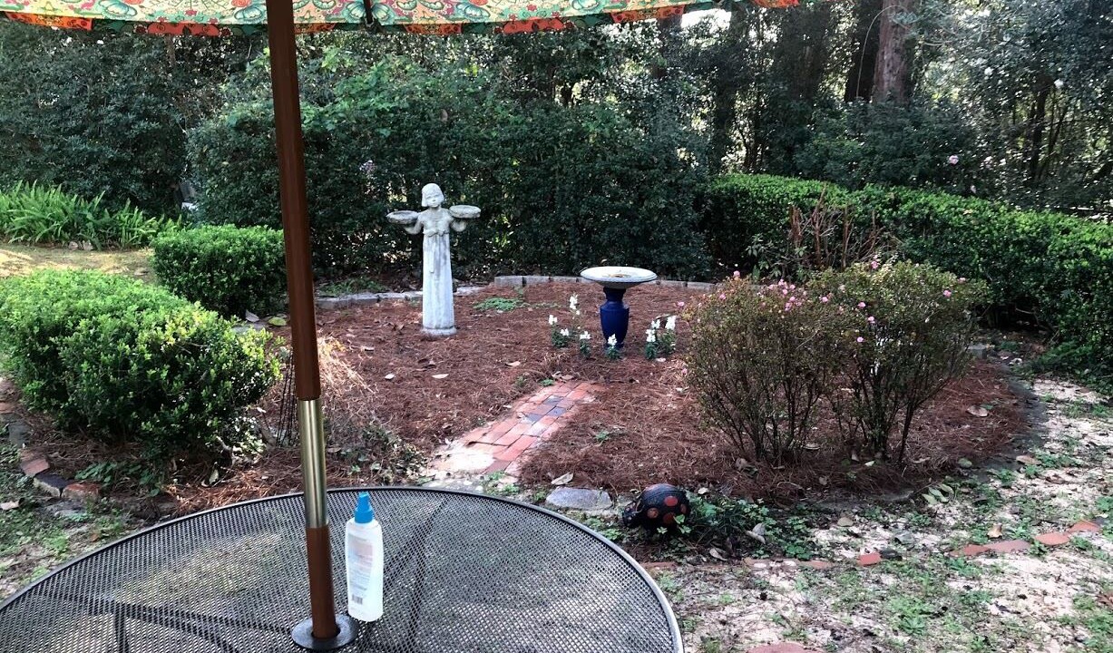 Photo of Outdoor in Tallahassee