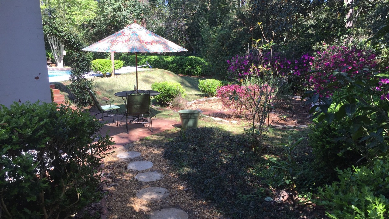 Photo of Outdoor in Tallahassee