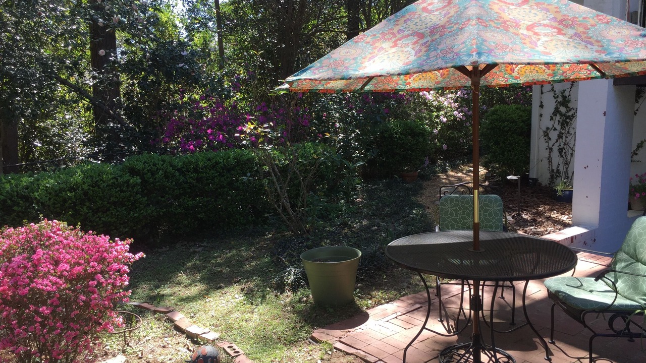 Photo of Outdoor in Tallahassee