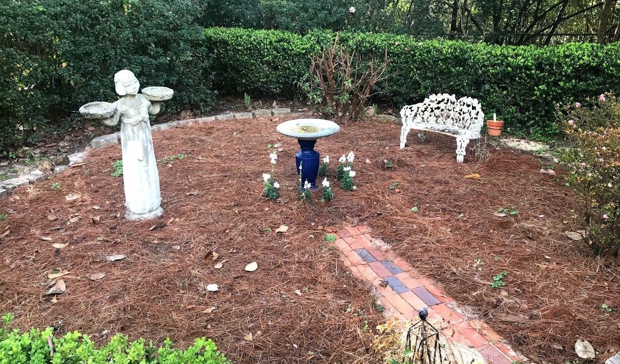 Photo of Outdoor in Tallahassee