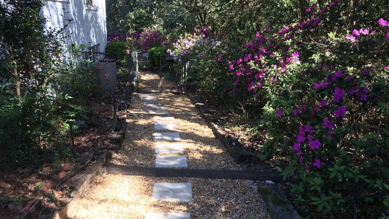Photo of Outdoor in Tallahassee
