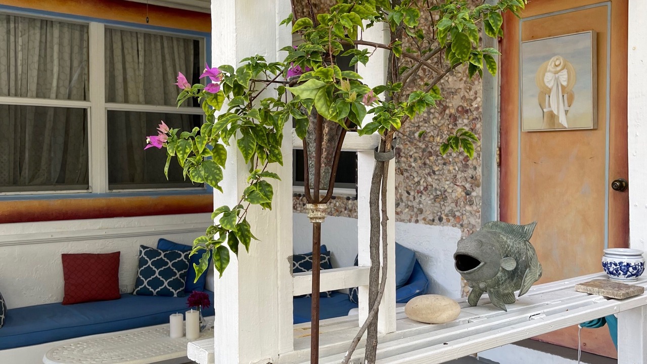 Photo of Outdoor in North Beach