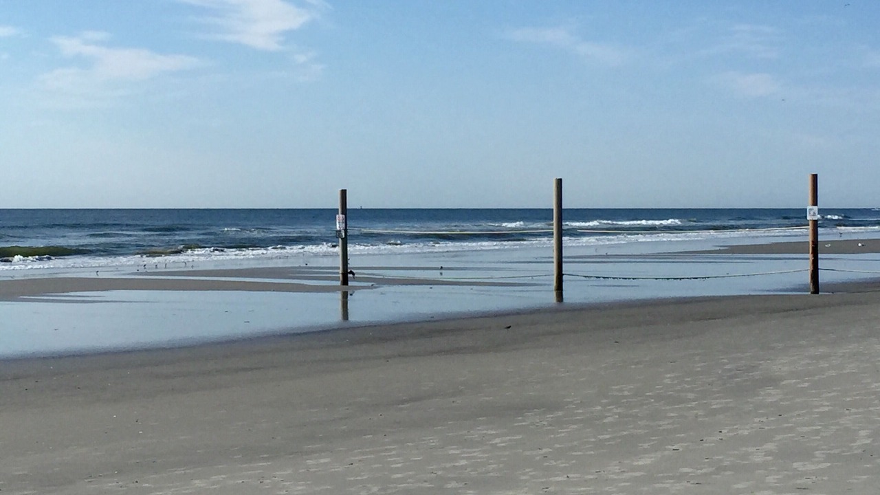 Photo of Others in Diamond Beach
