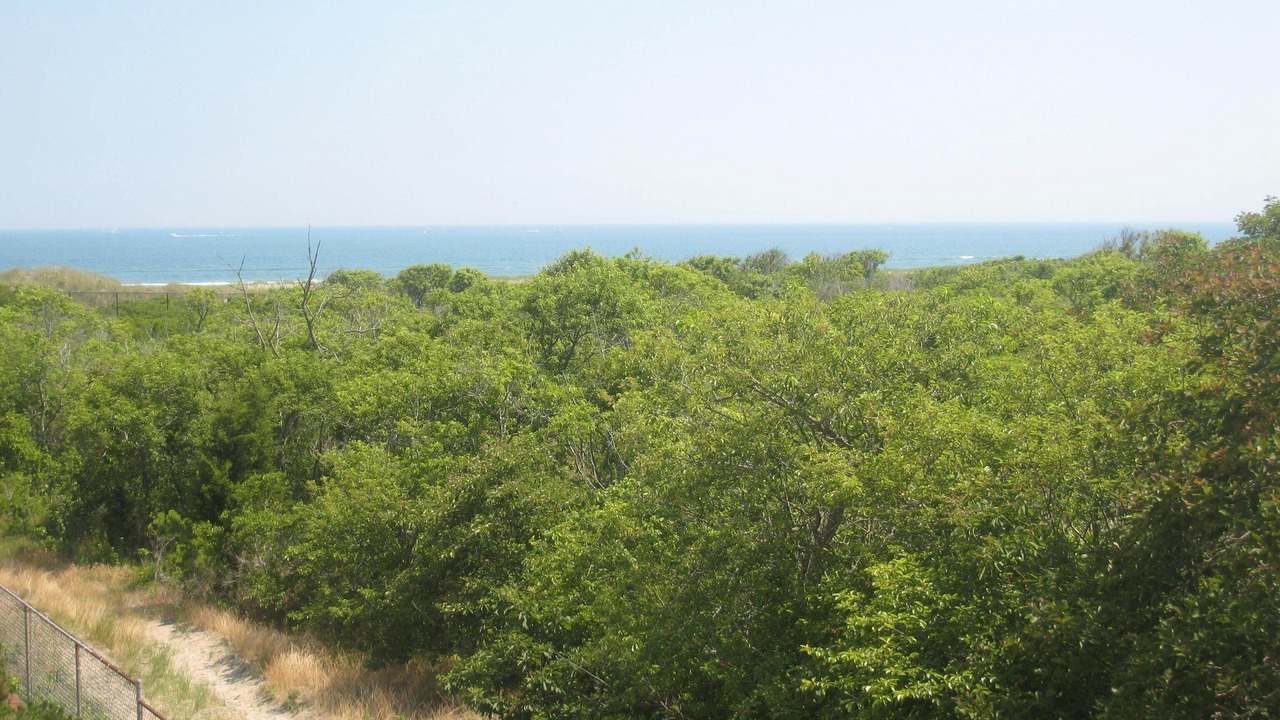 Photo of Others in Diamond Beach