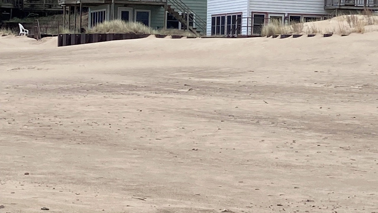 Photo of Outdoor in Porter Beach