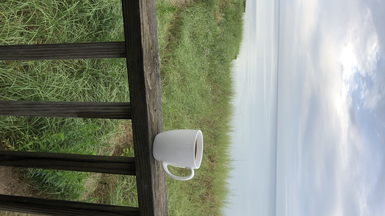 Photo of Outdoor in Porter Beach