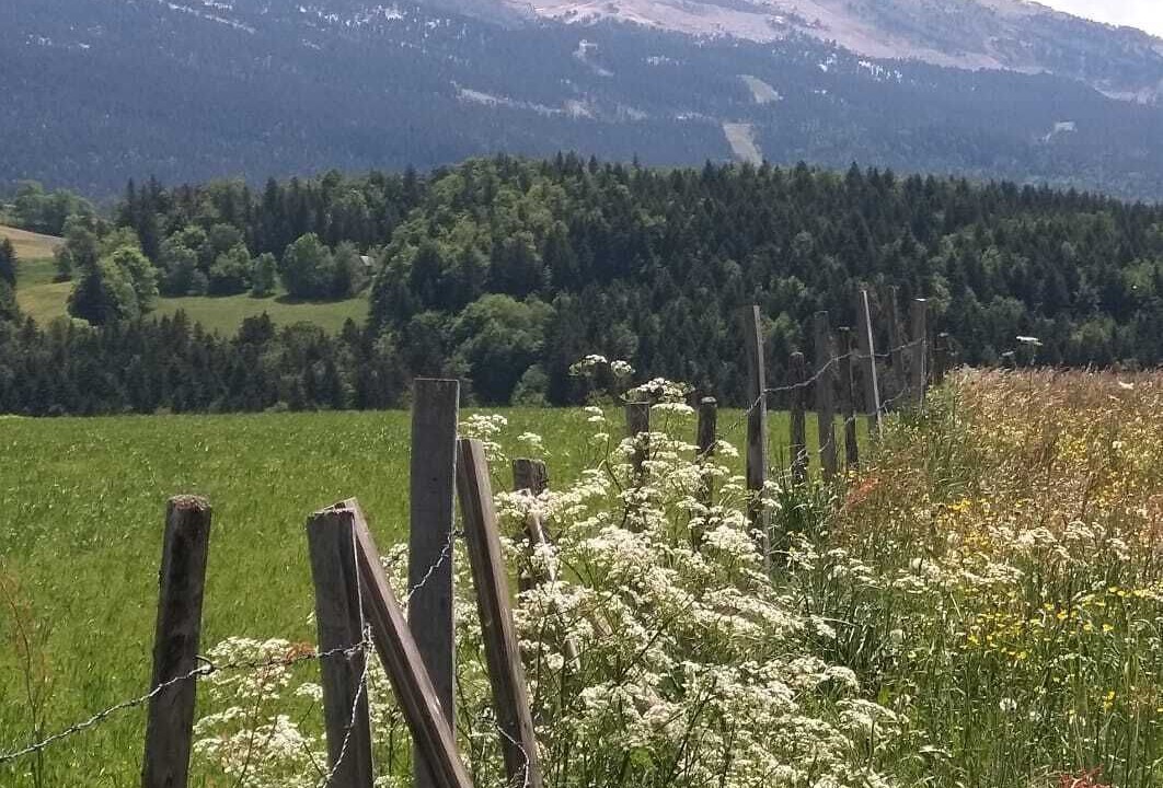 Photo of Others in Villard-de-Lans