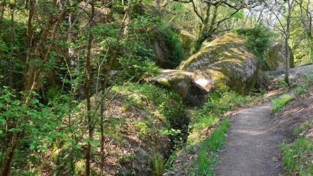 Photo of Outdoor in Tregastel