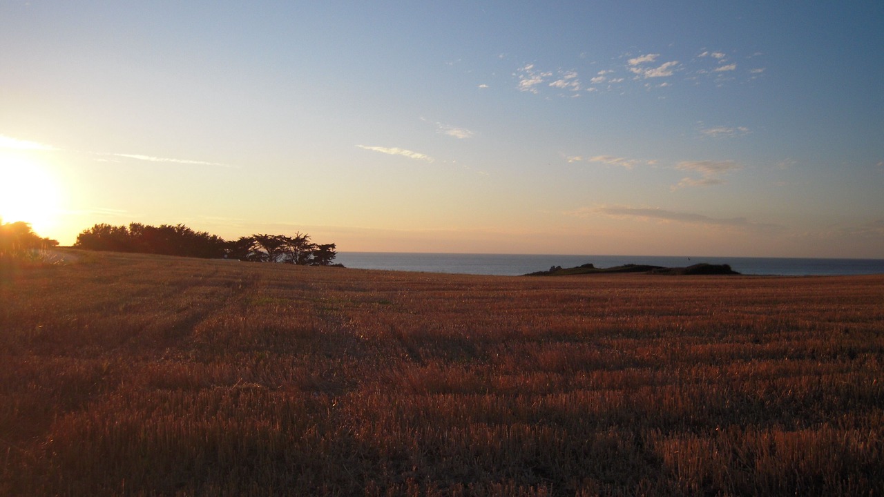 Photo of Others in Pleherel-Plage-Vieux-Bourg