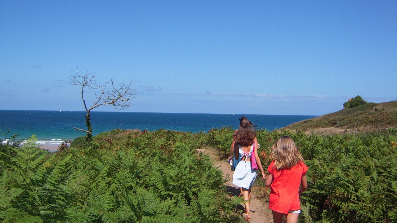 Photo of Others in Pleherel-Plage-Vieux-Bourg