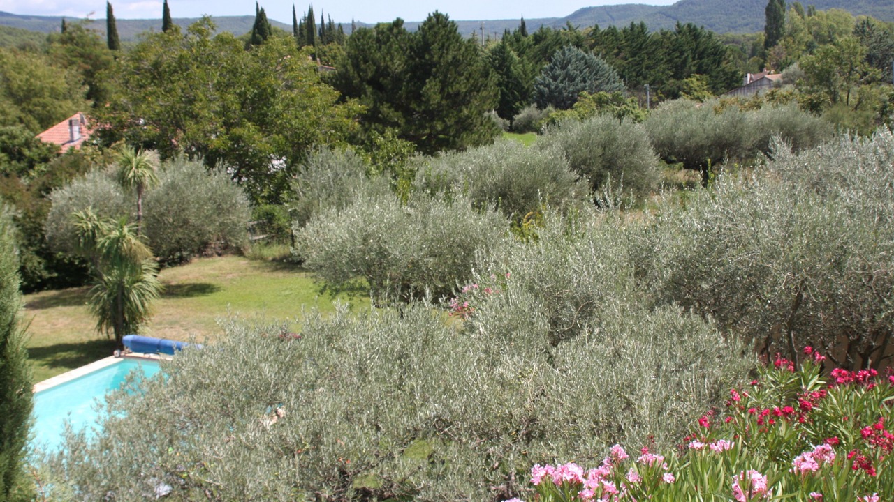 Photo of Outdoor in Salernes