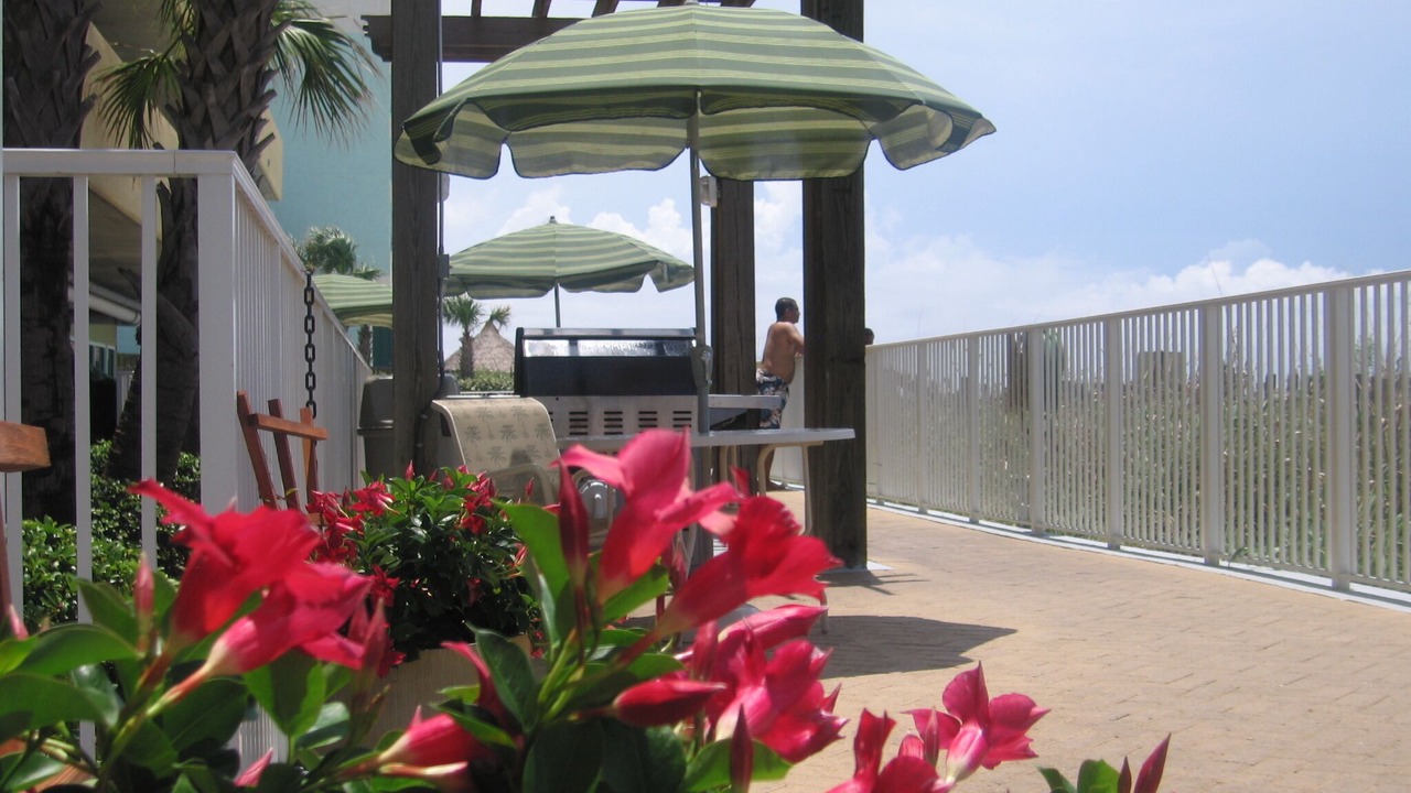 Photo of Outdoor in West Panama City Beach