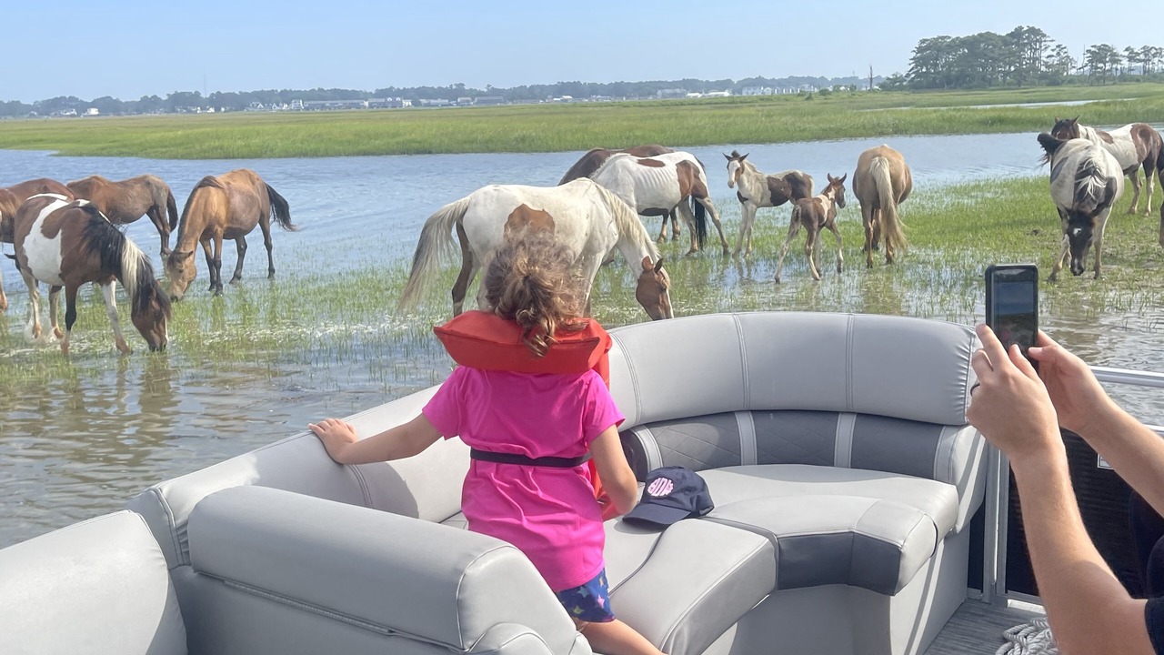 Photo of Outdoor in Chincoteague