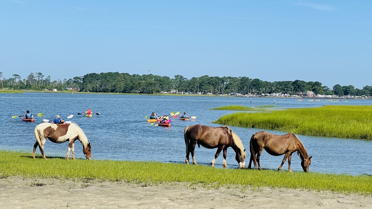 Photo of Others in Chincoteague