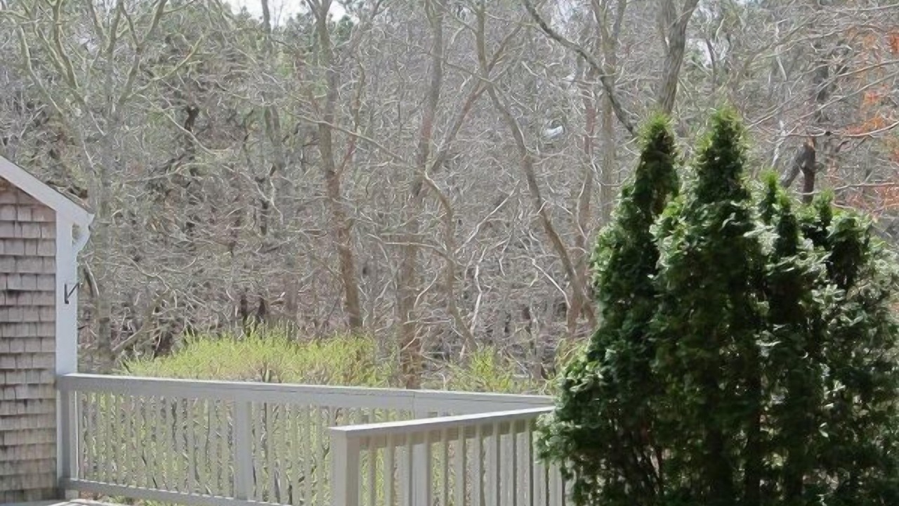 Photo of Outdoor in Wellfleet