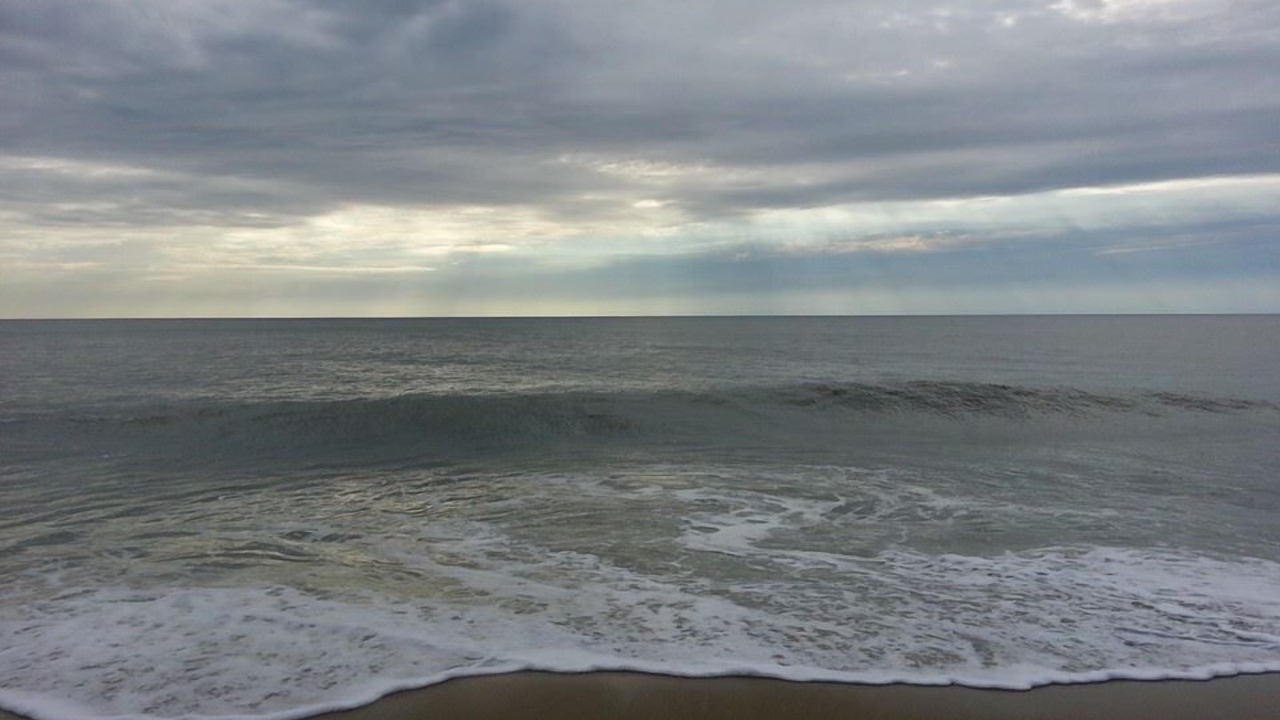 Photo of Others in North Ocean City