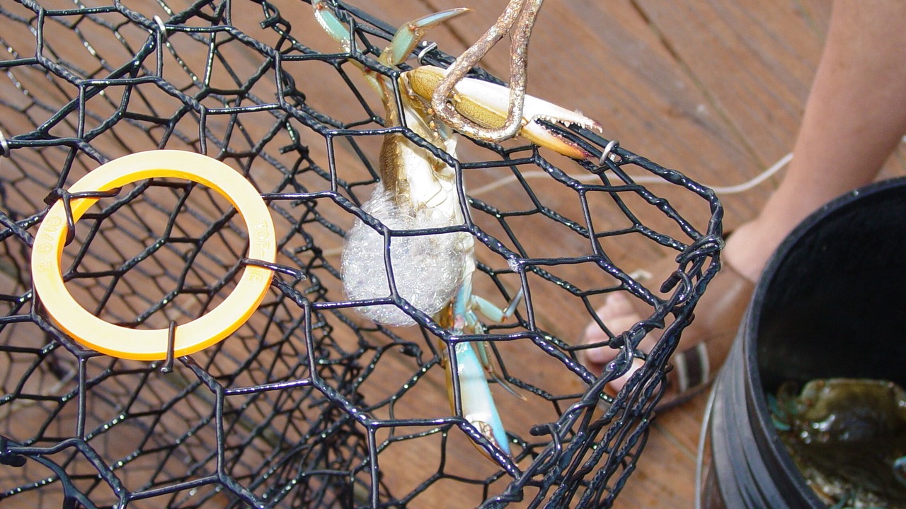 Photo of Others in North Ocean City