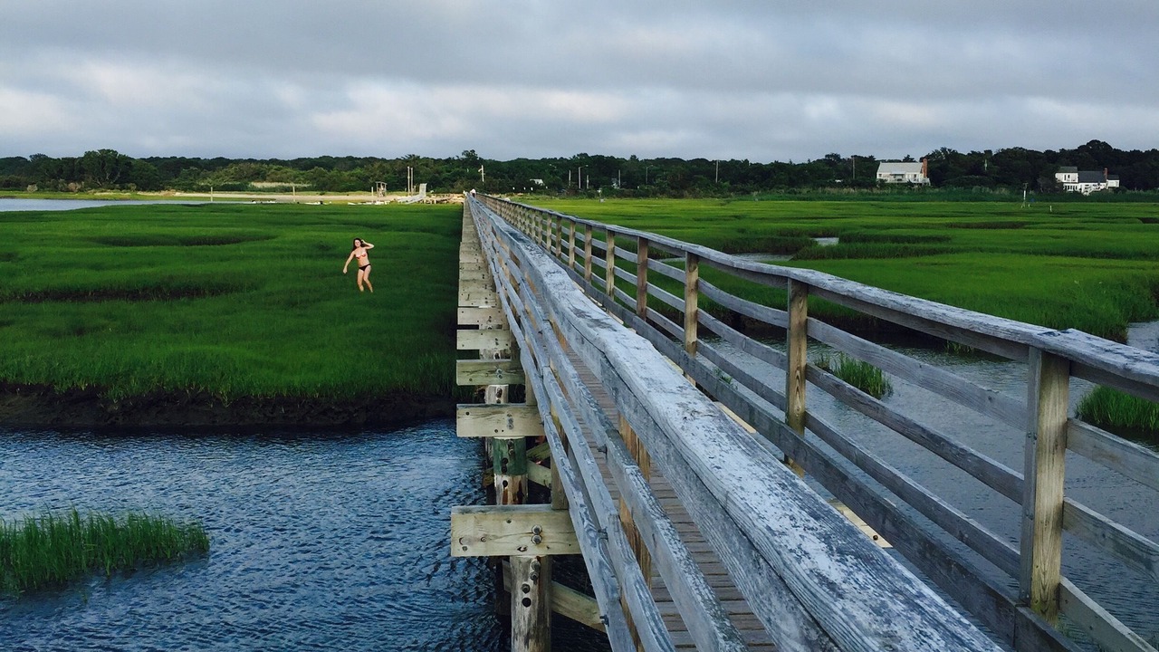 Photo of Others in Yarmouth Port