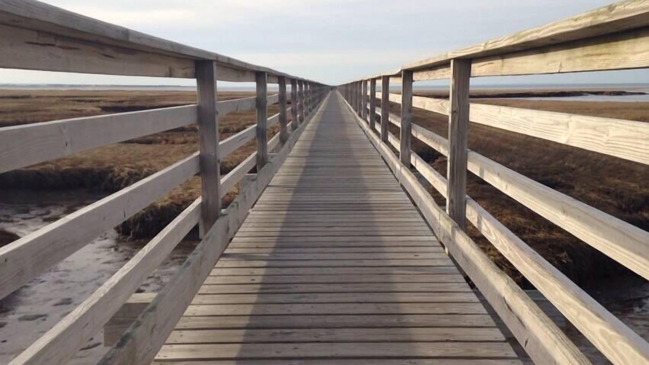 Photo of Others in Yarmouth Port