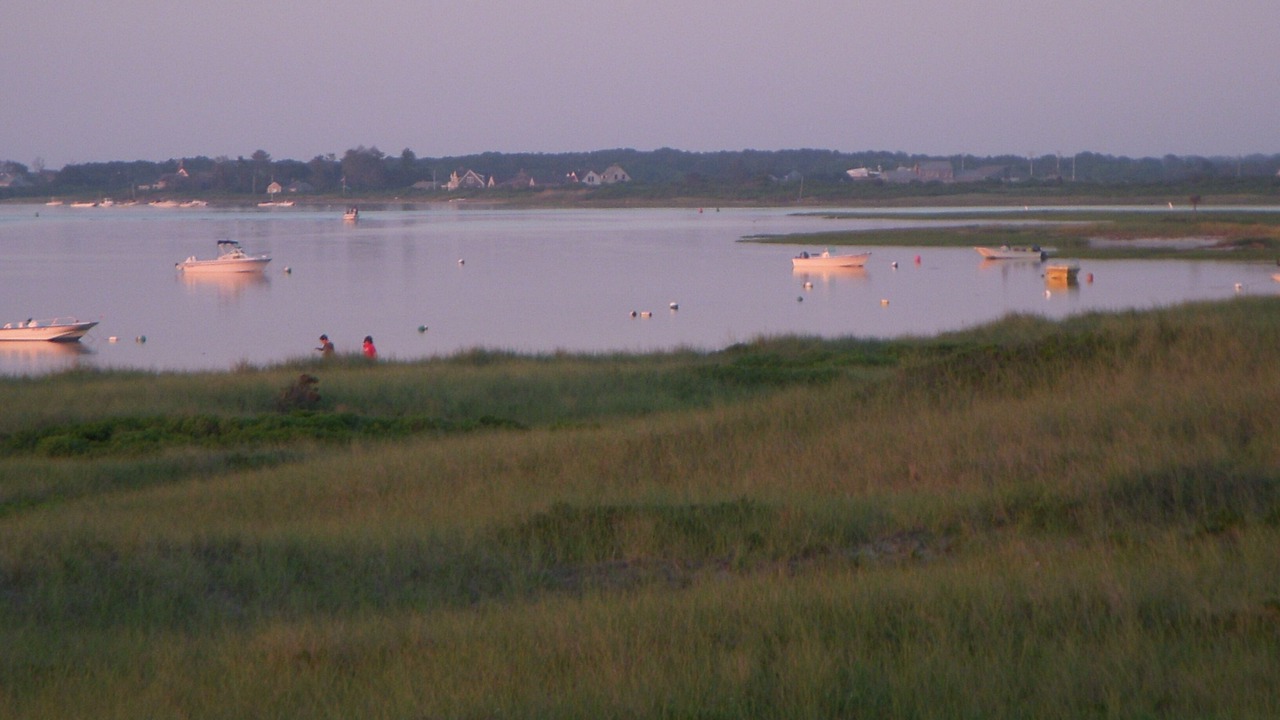 Photo of Others in Smith Point