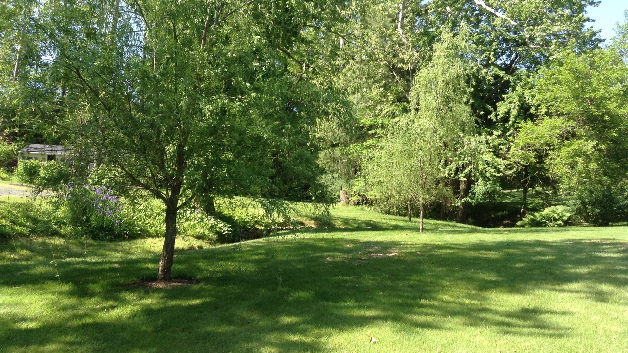 Photo of Outdoor in Middleburg