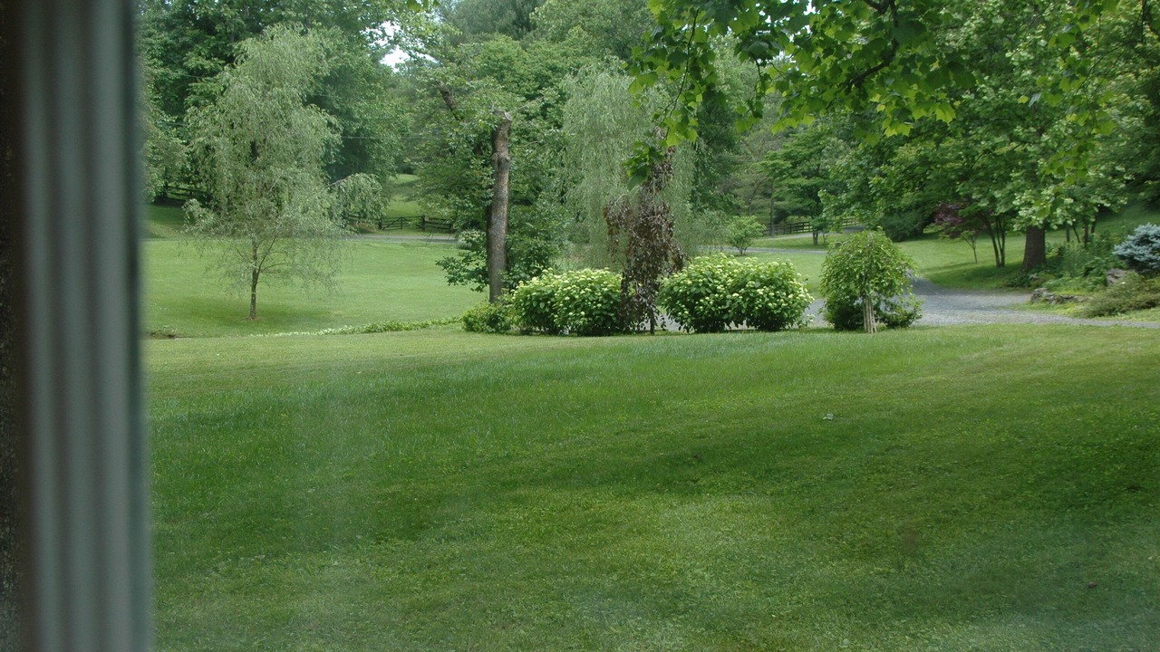 Photo of Outdoor in Middleburg