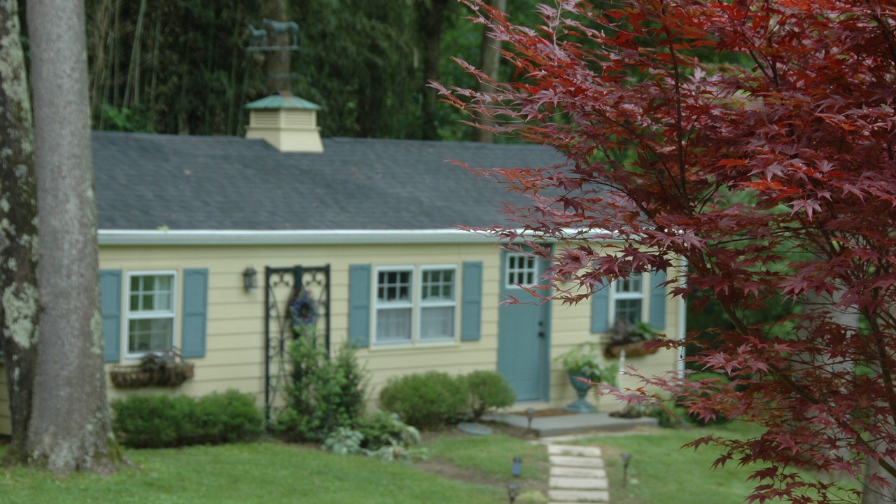 Photo of Outdoor in Middleburg