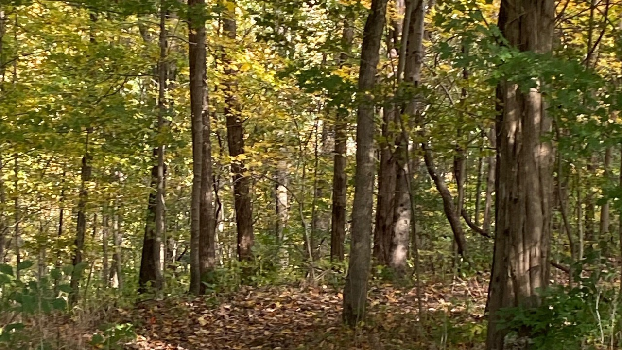 Photo of Others in Cross Plains