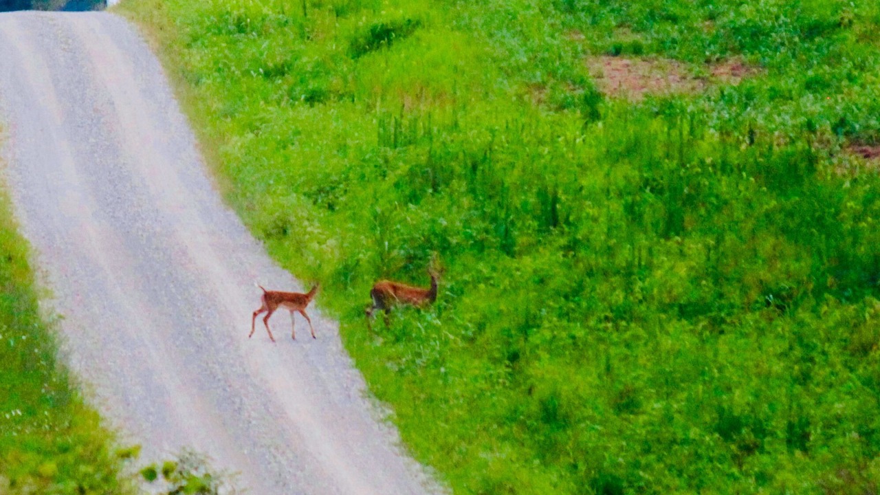 Photo of Others in Cross Plains