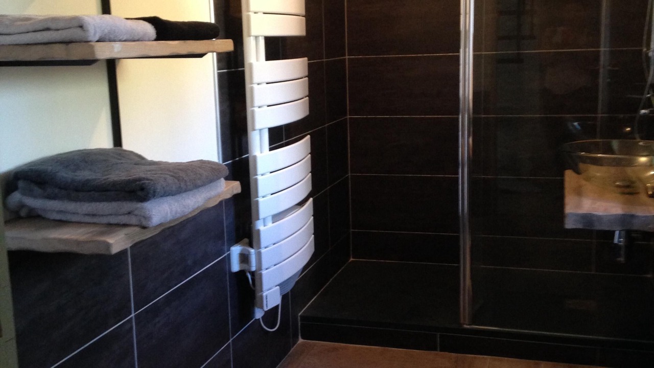 Photo of Bathroom in Lanildut