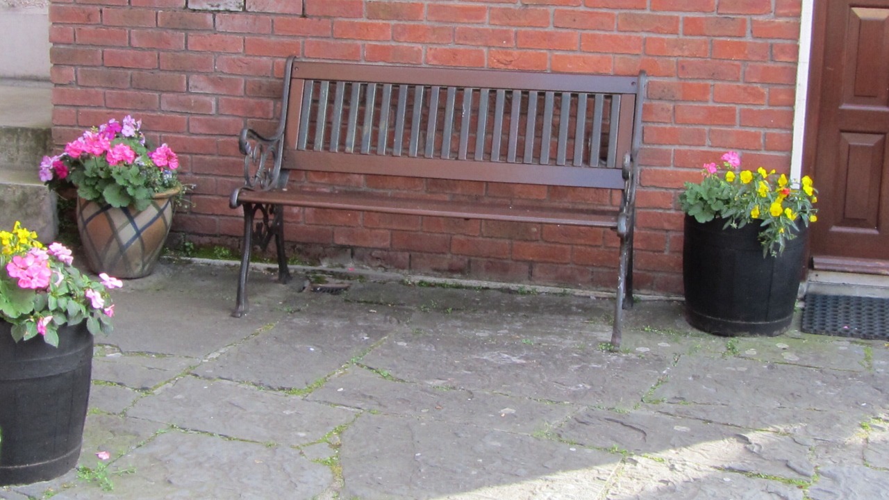 Photo of Others in Galway