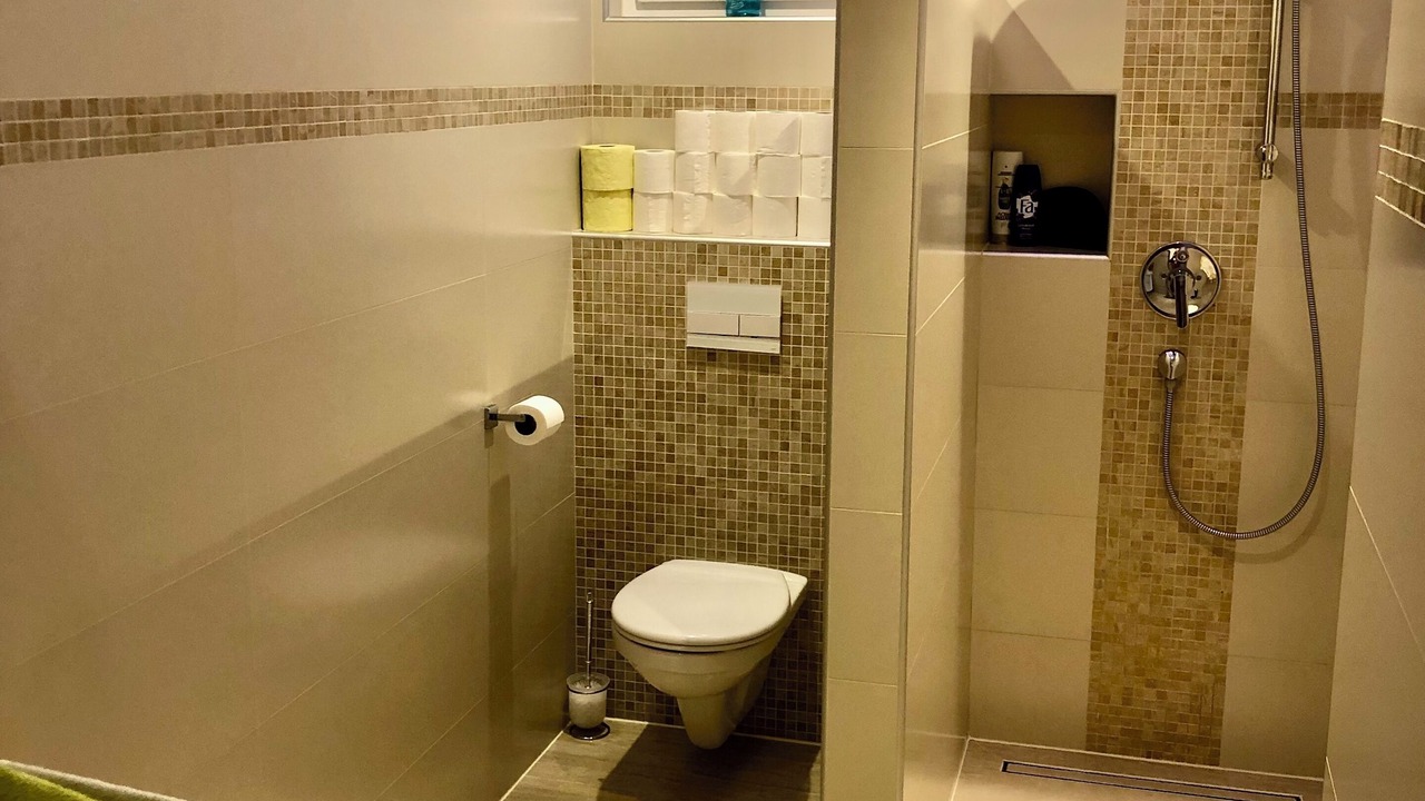 Photo of Bathroom in Pula