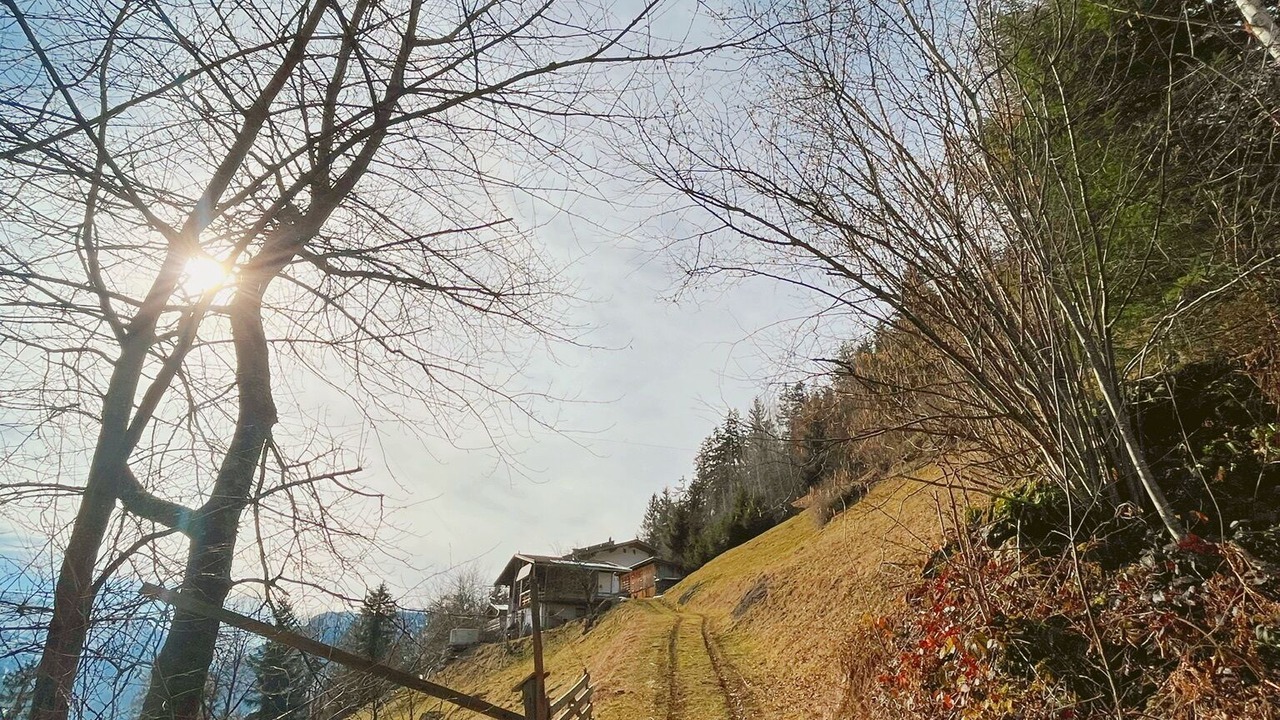 Photo of Outdoor in Zellberg